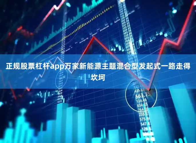 正规股票杠杆app万家新能源主题混合型发起式一路走得坎坷